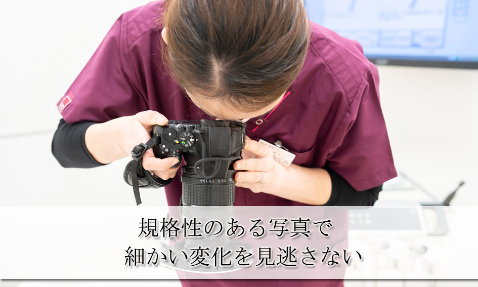 規格性のある写真で細かい変化を見逃さない